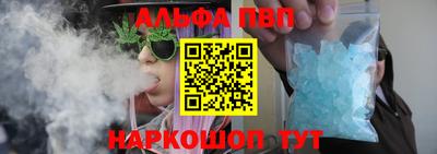 сатива Новозыбков