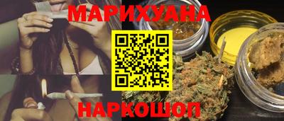 сатива Новозыбков
