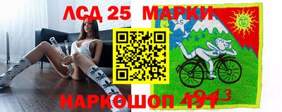 сатива Новозыбков