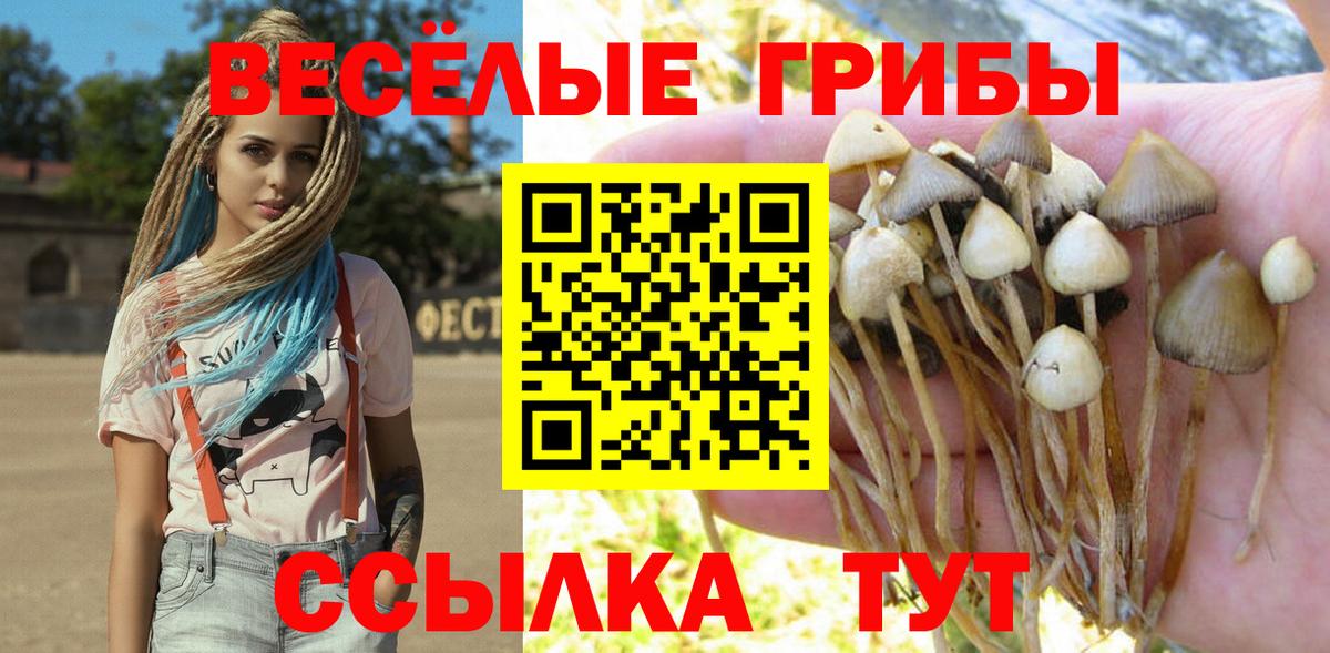 Галлюциногенные грибы Psilocybine cubensis  Вход с VPN  Удомля  Псилоцибиновые грибы Psilocybine cubensis 