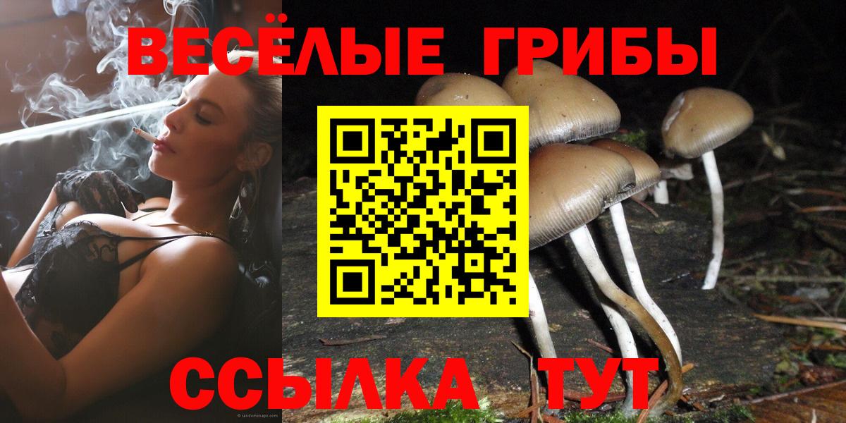 Галлюциногенные грибы Psilocybe Удомля